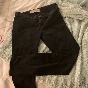 Hollister Jeggings